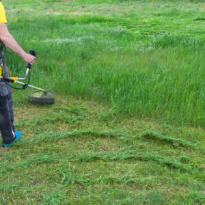 A male gardener mows the green grass of the lawn in the backyard with a gasoline mower. Trimmer for the care of a garden plot