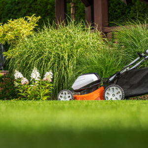 Modern Cordless Battery Powered Grass Mower in the Colorful Mature Garden
