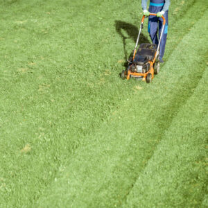 Professional gardener in protective workwear cutting grass with gasoline lawn mower on the backyard, View from above with copy space