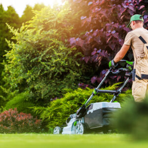Caucasian Residential Garden Worker in His 40s Trimming Backyard Lawn Using Electric Cordless Grass Mower. Landscaping and Gardening Industry Theme.